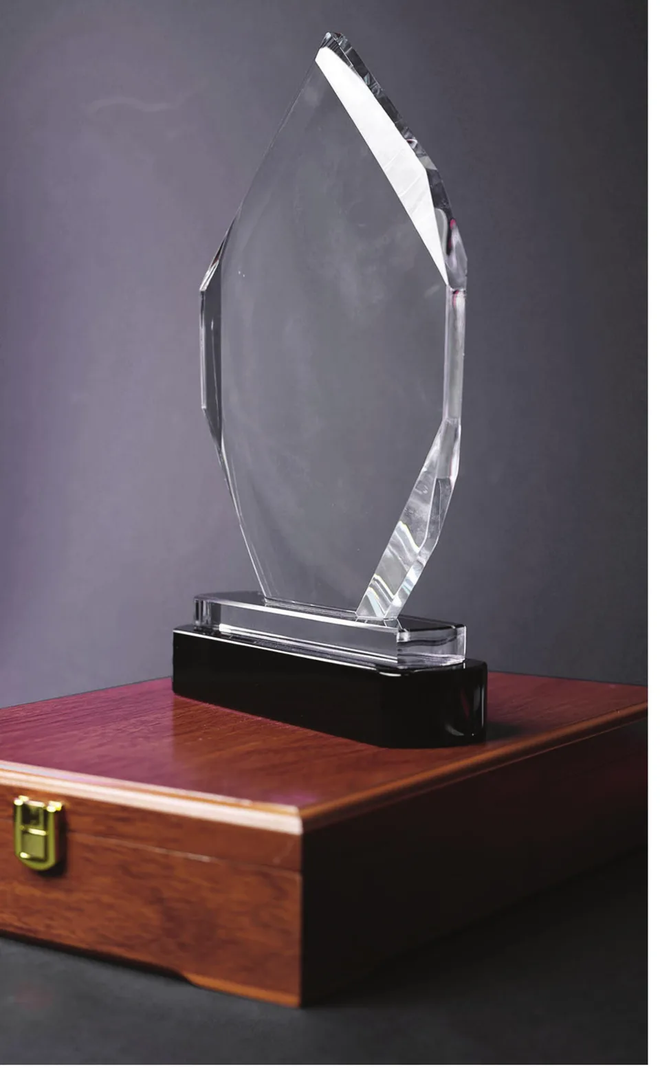 Trophée Géant Pointu sur Coffret Bois — Réf. 24560