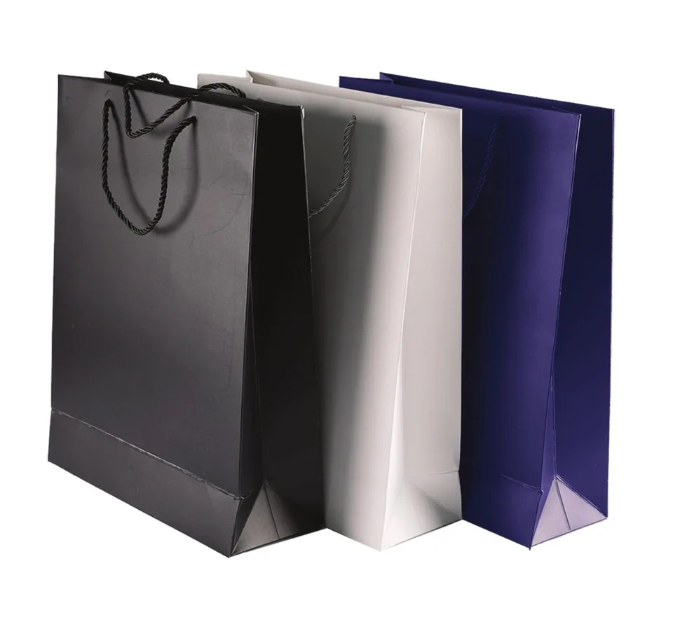 Sac en Papier de Luxe Plastifié Mat — Réf. 24568