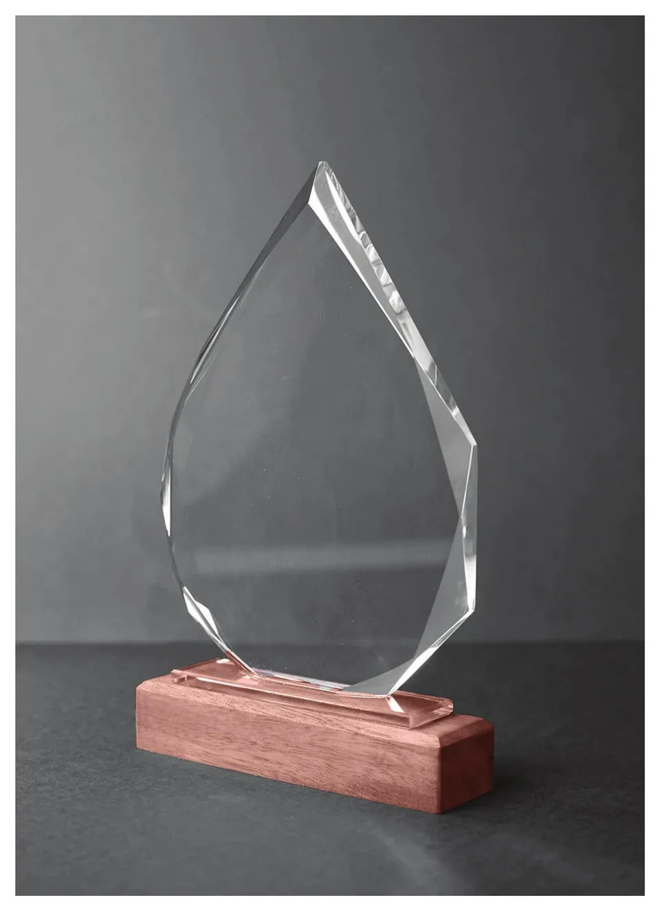 Trophée Pointu sur Socle Bois — Réf. 40158