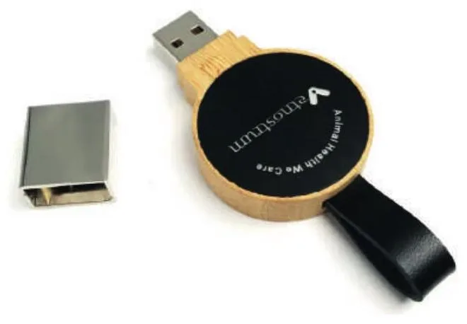 Clé USB Bois Ronde Lanière Cuir et Logo LED — Réf. IMU-002