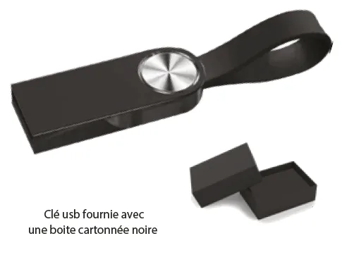 Clé USB Minimaliste en Métal 16 Go — Réf. PF-510B